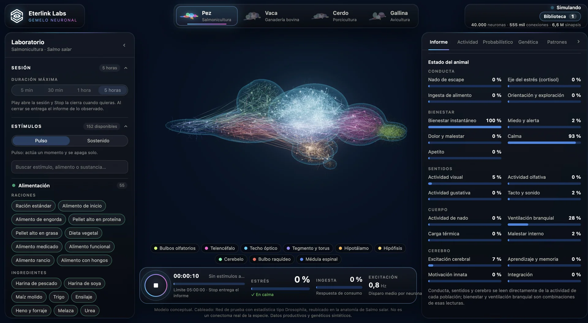 Modelo neuronal del pez en la plataforma Ente Neuronal