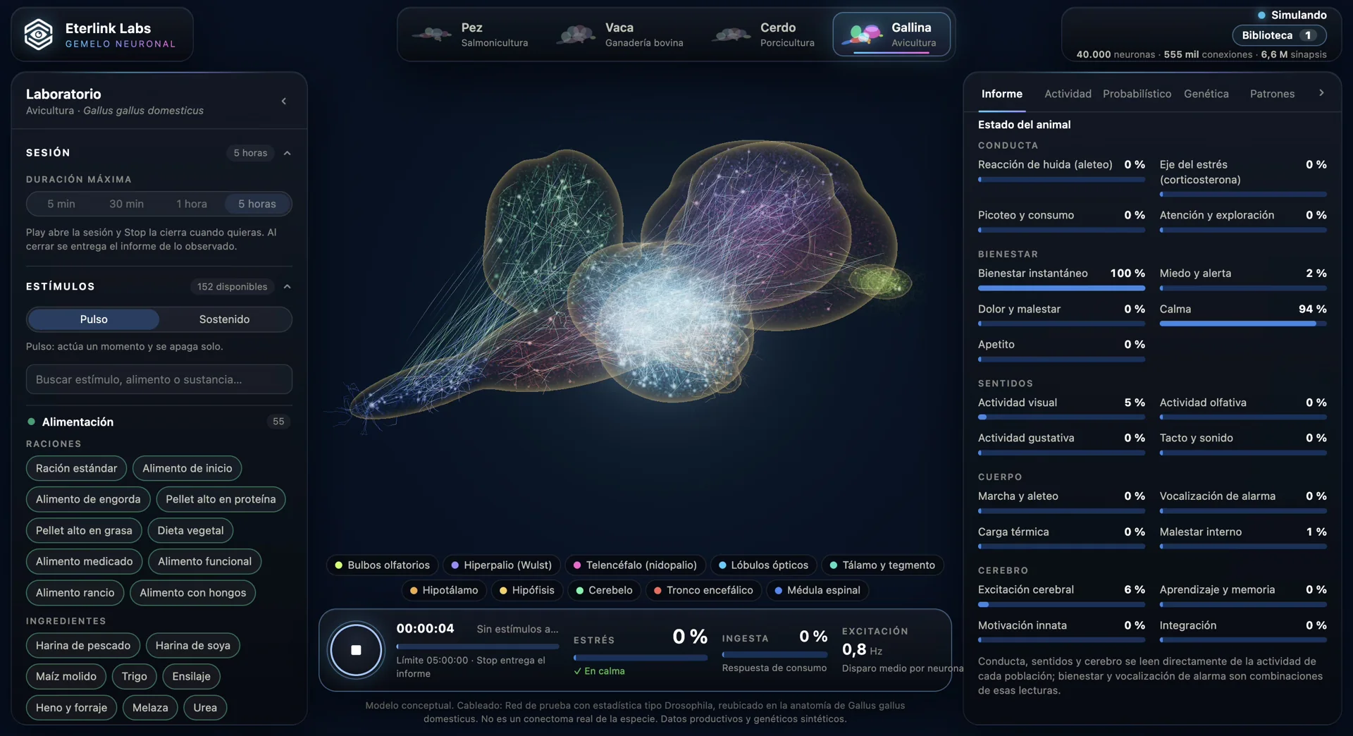 Modelo neuronal de la gallina dentro de Ente Neuronal