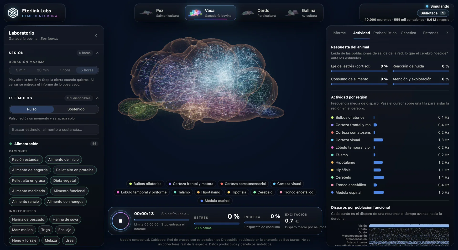 Modelo neuronal de la vaca dentro de Ente Neuronal